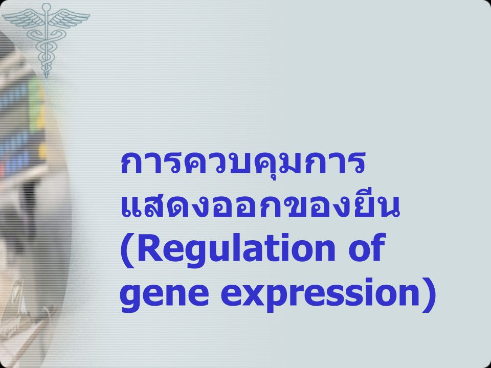 การควบคุมการแสดงออกของยีน (Regulation of gene expression)