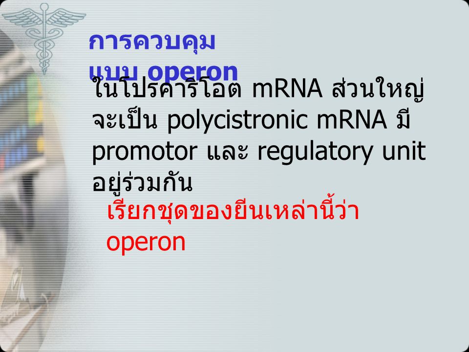 การควบคุมแบบ operon ในโปรคาริโอต mRNA ส่วนใหญ่จะเป็น polycistronic mRNA มี promotor และ regulatory unit อยู่ร่วมกัน.