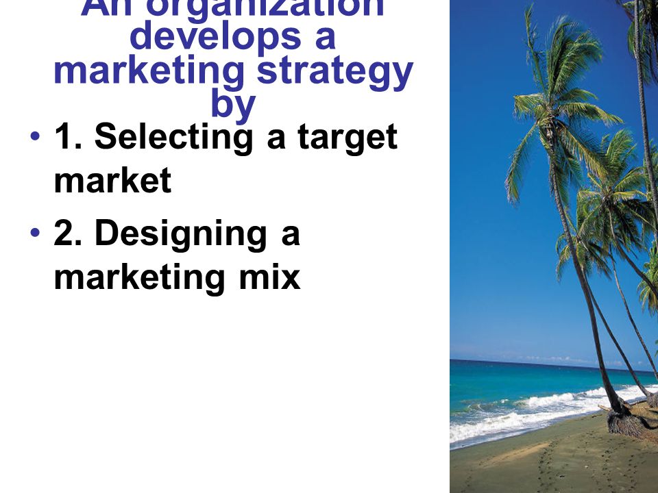 An organization develops a marketing strategy by