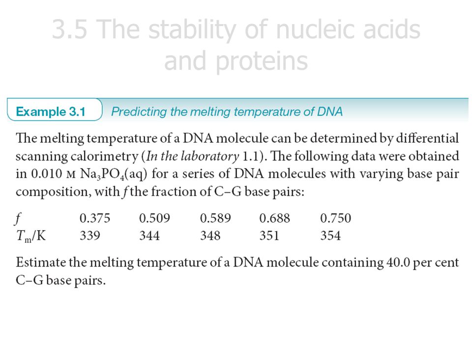 3.5 The stability of nucleic acids and proteins