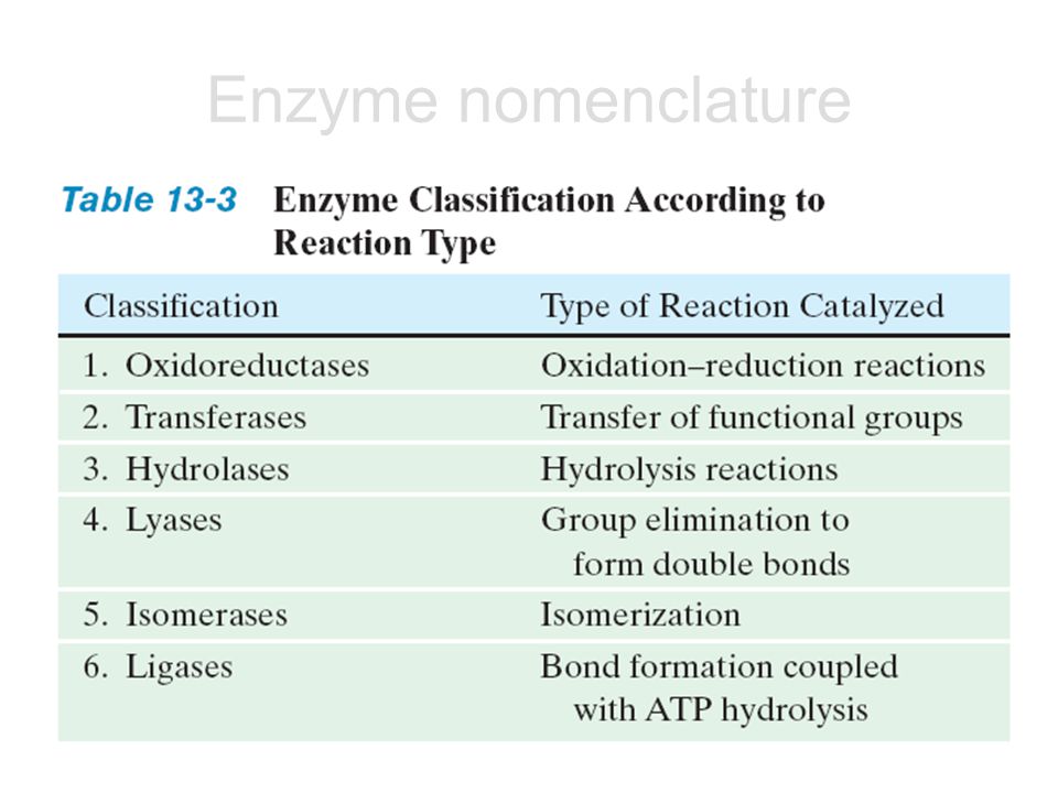 Enzyme nomenclature