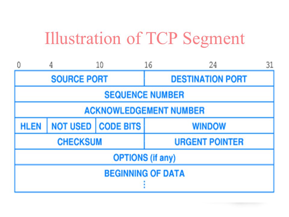 Illustration of TCP Segment