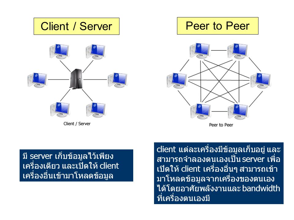 Client / Server Peer to Peer