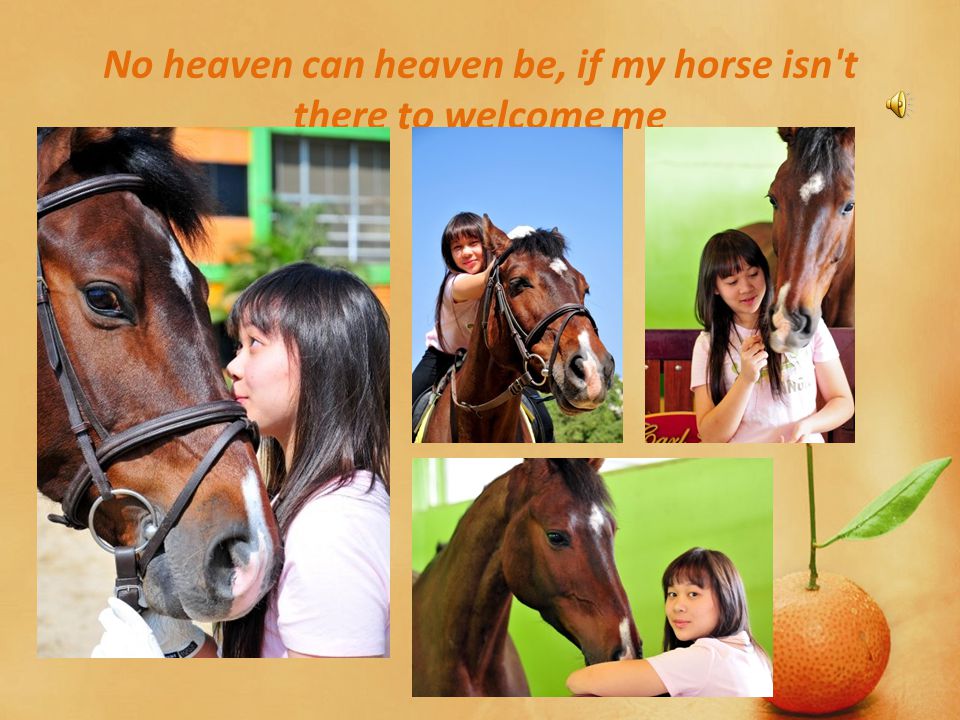 No heaven can heaven be, if my horse isn t there to welcome me
