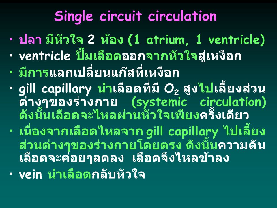 Single circuit circulation