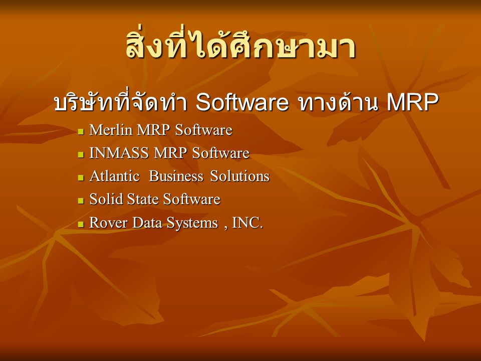 สิ่งที่ได้ศึกษามา บริษัทที่จัดทำ Software ทางด้าน MRP