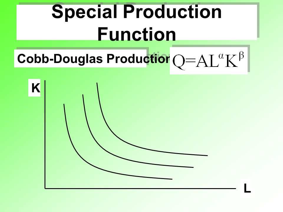 Special Production Function