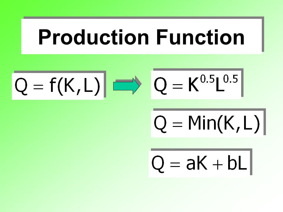Production Function