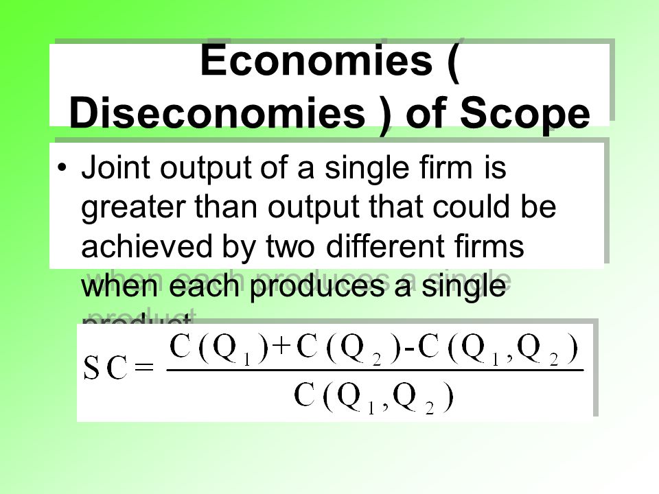 Economies ( Diseconomies ) of Scope