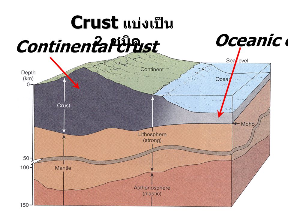 Oceanic crust Continental crust Crust แบ่งเป็น 2 ชนิด