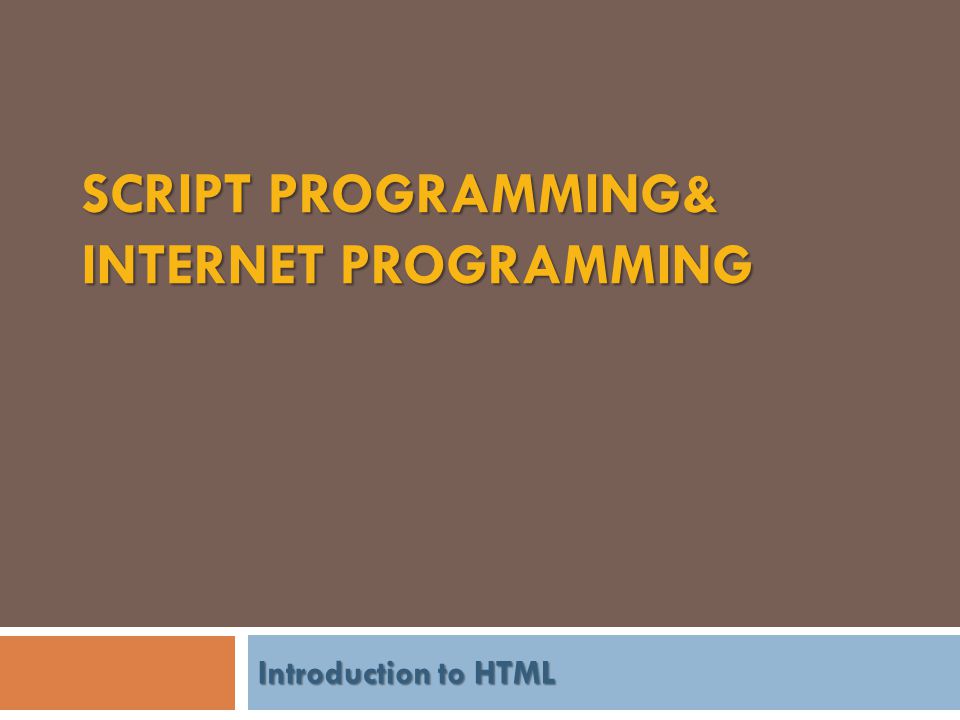 Script Programming& Internet Programming