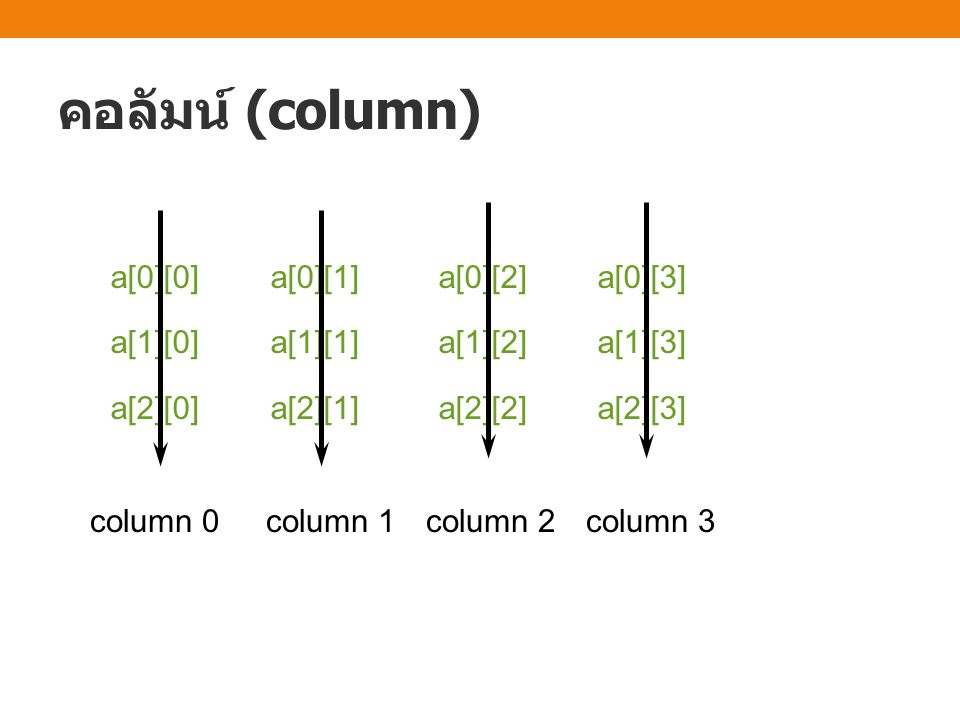 คอลัมน์ (column) a[0][0] a[0][1] a[0][2] a[0][3]