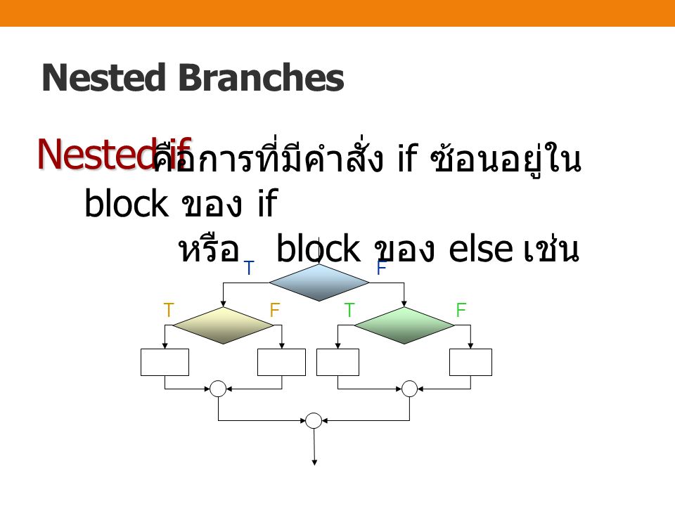 Nested if Nested Branches