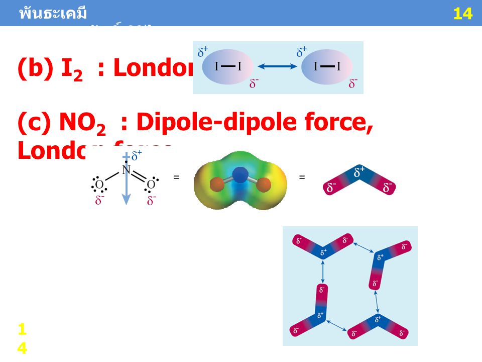 (c) NO2 : Dipole-dipole force, London force