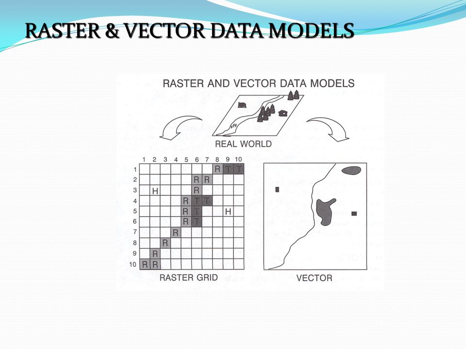 RASTER & VECTOR DATA MODELS