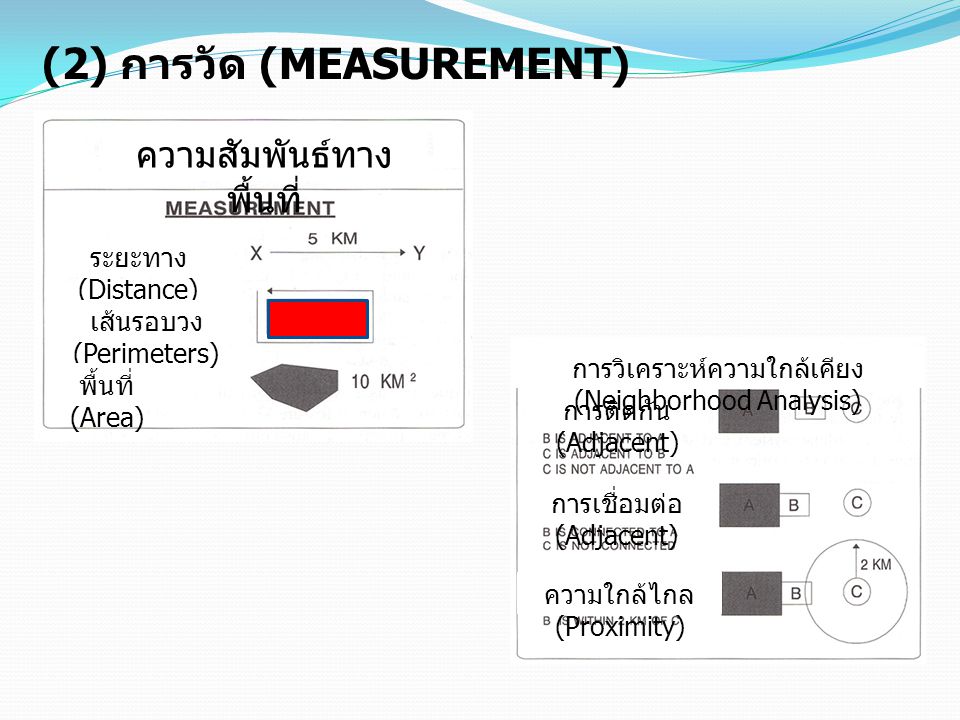 (2) การวัด (MEASUREMENT)