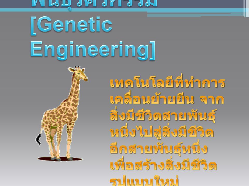 พันธุวิศวกรรม [Genetic Engineering]
