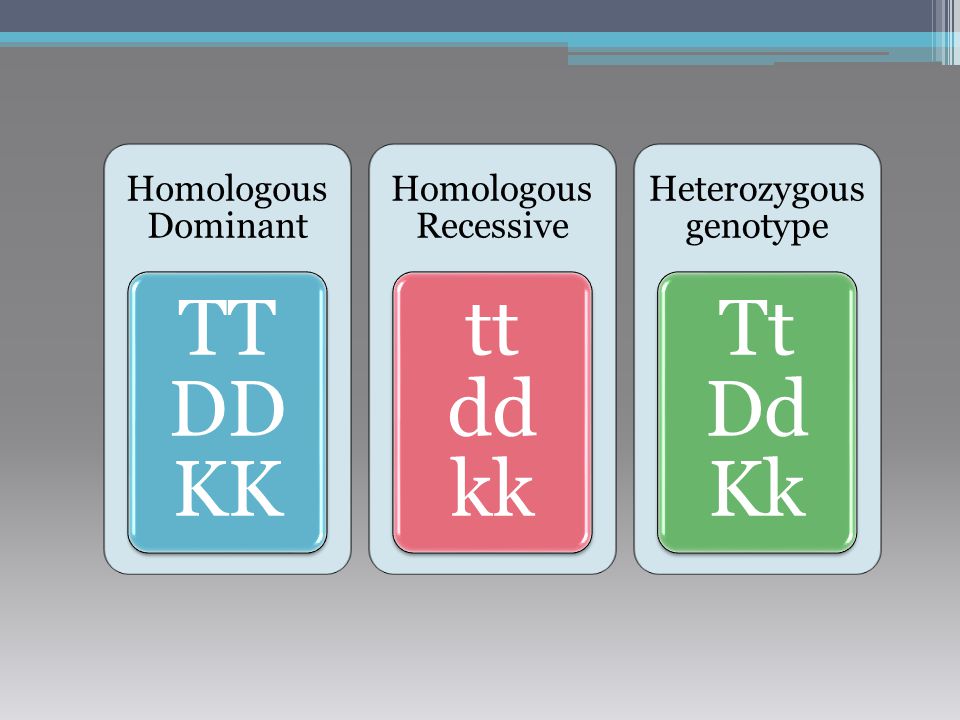 Heterozygous genotype