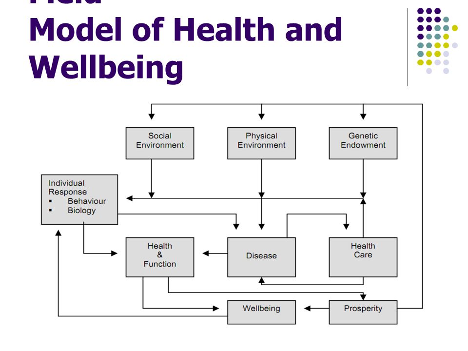 Evans and Stoddart Field Model of Health and Wellbeing