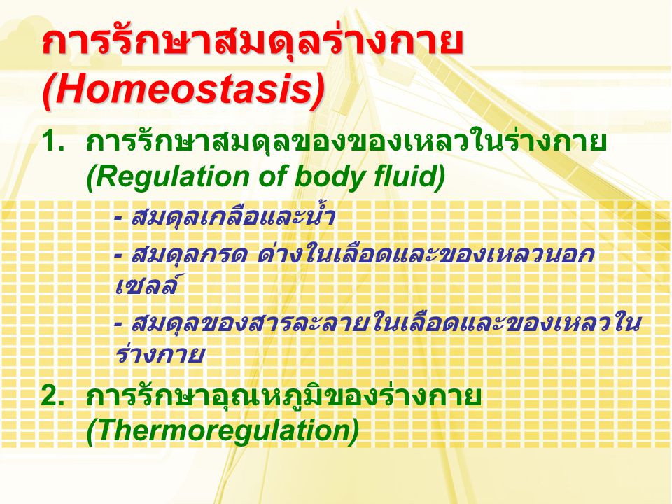 การรักษาสมดุลร่างกาย (Homeostasis)