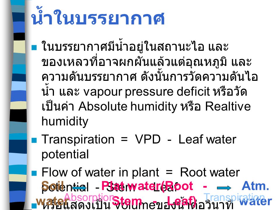 Plat water(Root - Stem - Leaf)