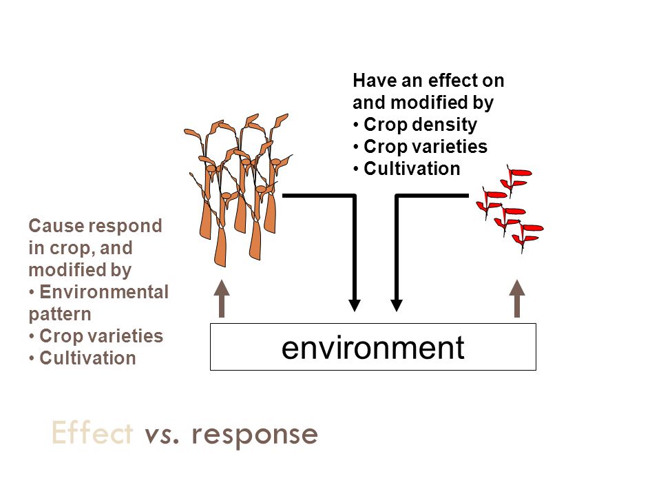 Effect vs. response environment Have an effect on and modified by