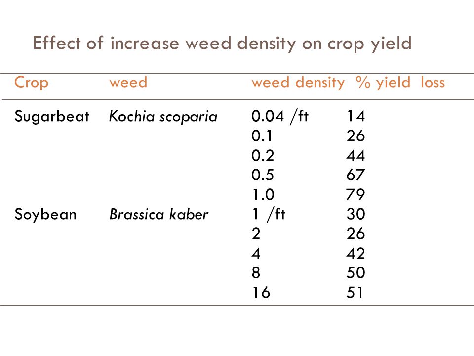 Effect of increase weed density on crop yield