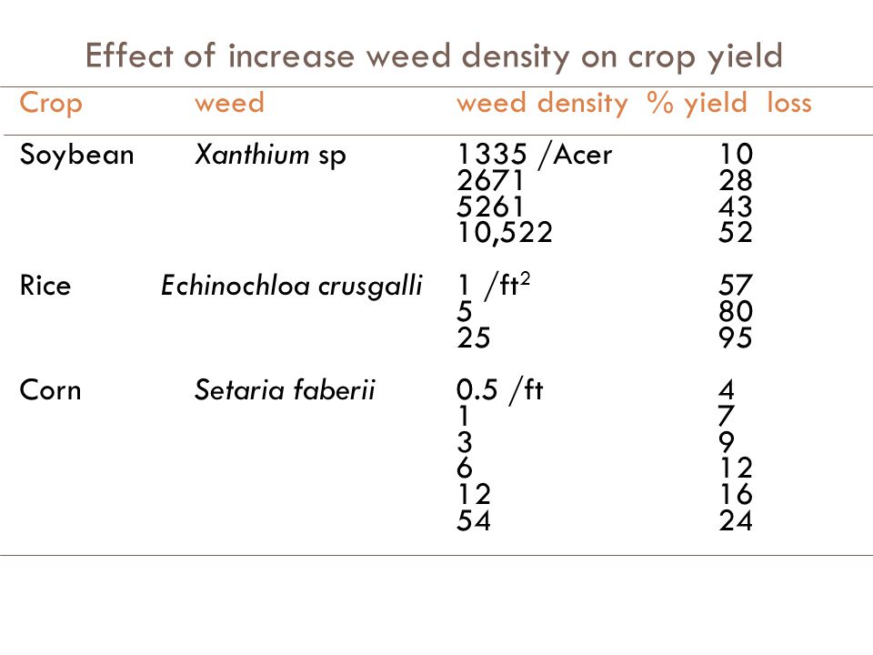Effect of increase weed density on crop yield