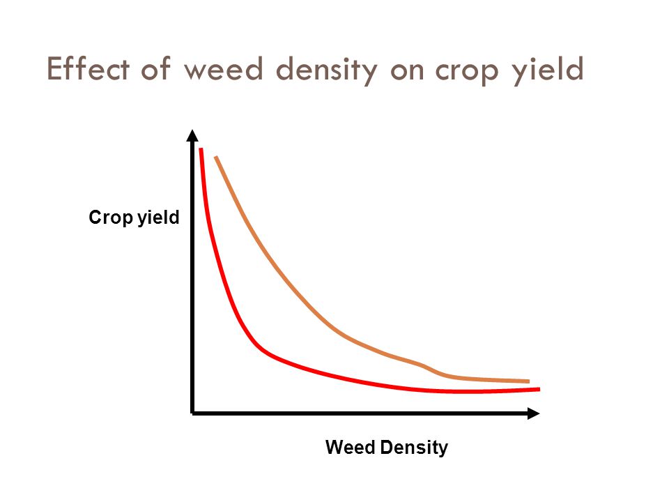 Effect of weed density on crop yield
