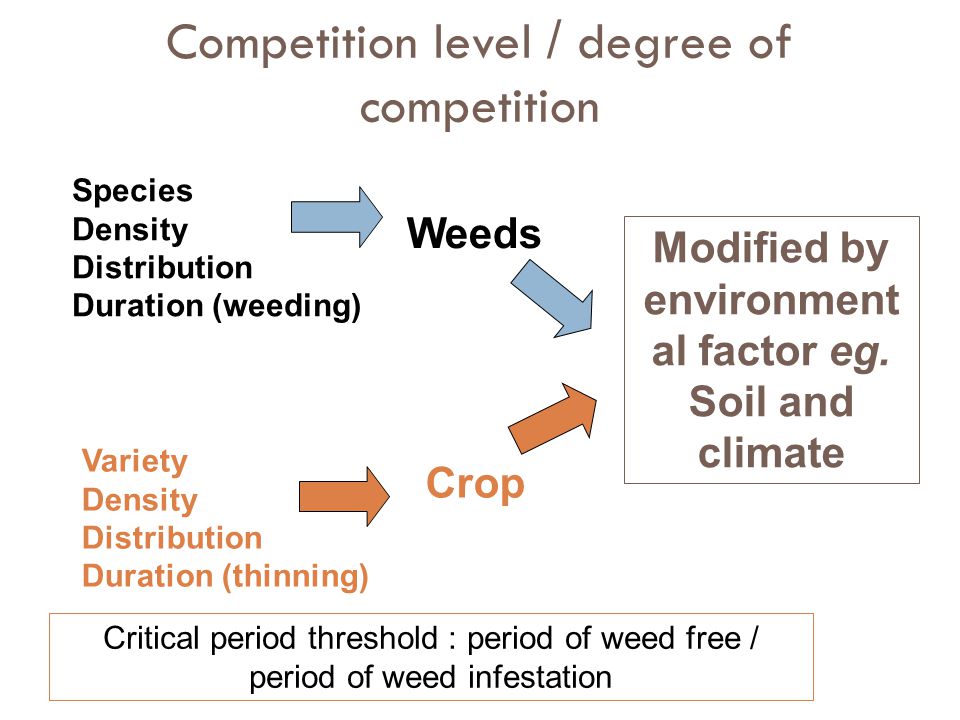 Competition level / degree of competition