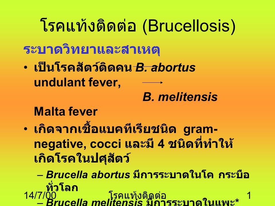 โรคแท้งติดต่อ (Brucellosis)