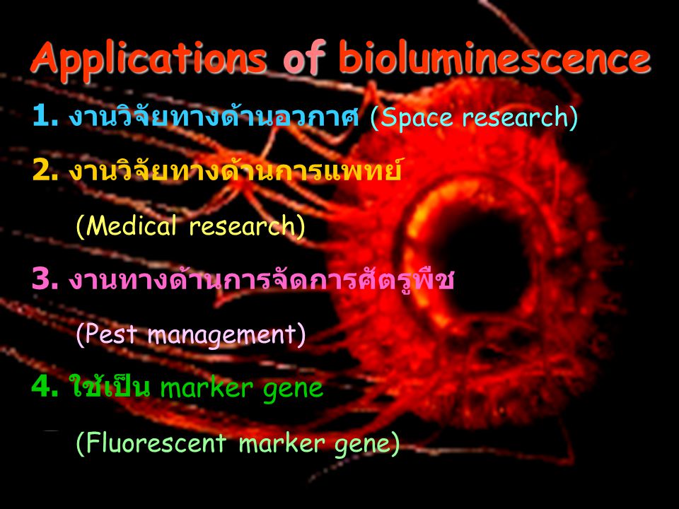 Applications of bioluminescence