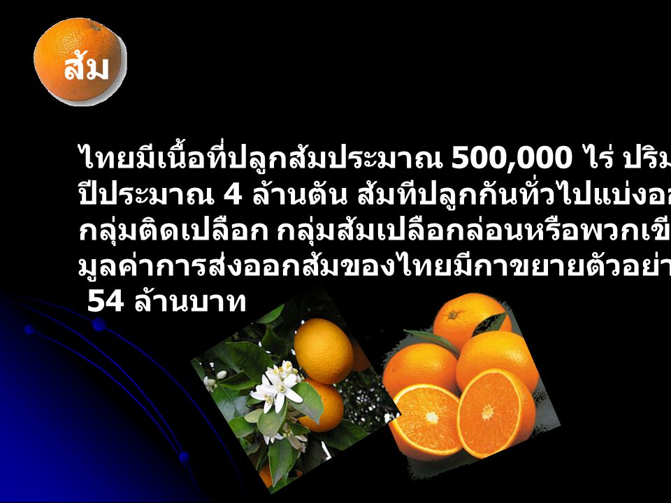 ส้ม ไทยมีเนื้อที่ปลูกส้มประมาณ 500,000 ไร่ ปริมาณผลผลิตส้มแต่ละ
