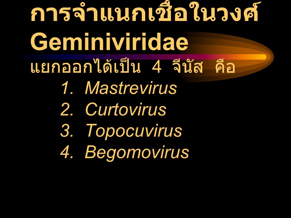 การจำแนกเชื้อในวงศ์ Geminiviridae แยกออกได้เป็น 4 จีนัส คือ 1