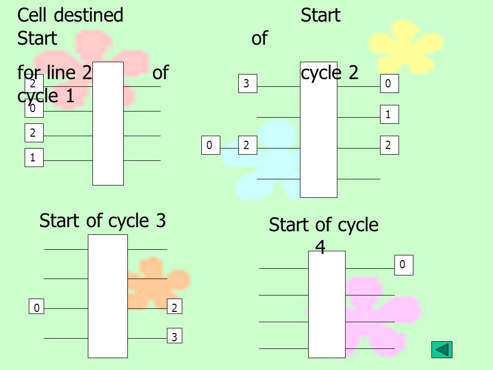 Cell destined Start for line 2 of cycle 1 Start of cycle 2