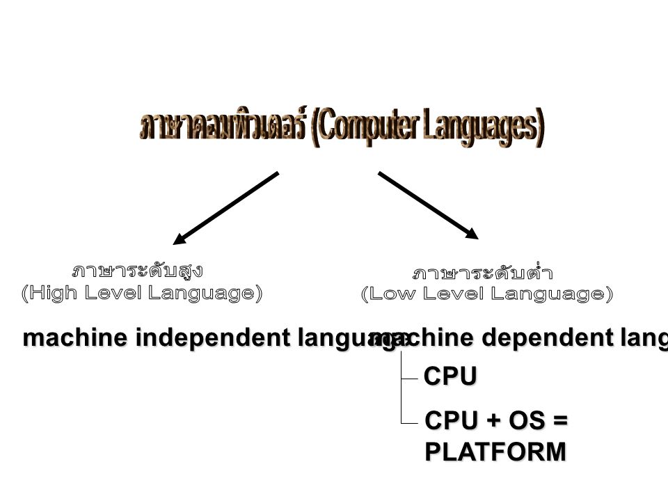 ภาษาคอมพิวเตอร์ (Computer Languages)