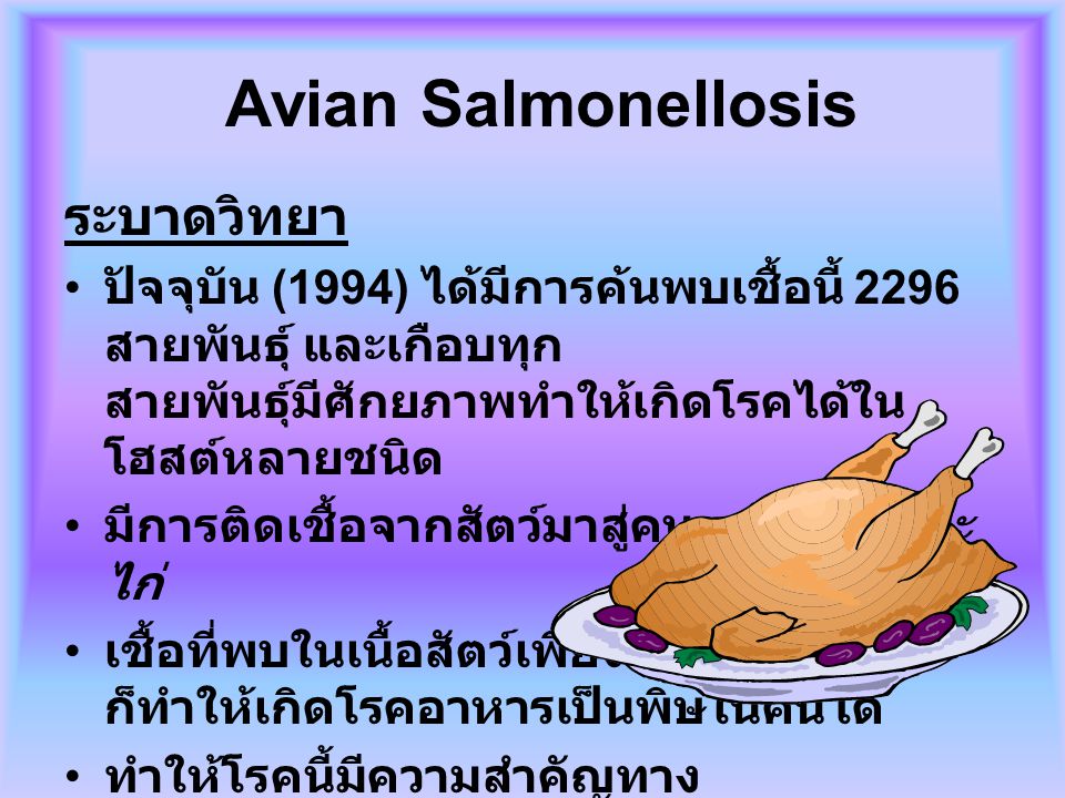 Avian Salmonellosis ระบาดวิทยา