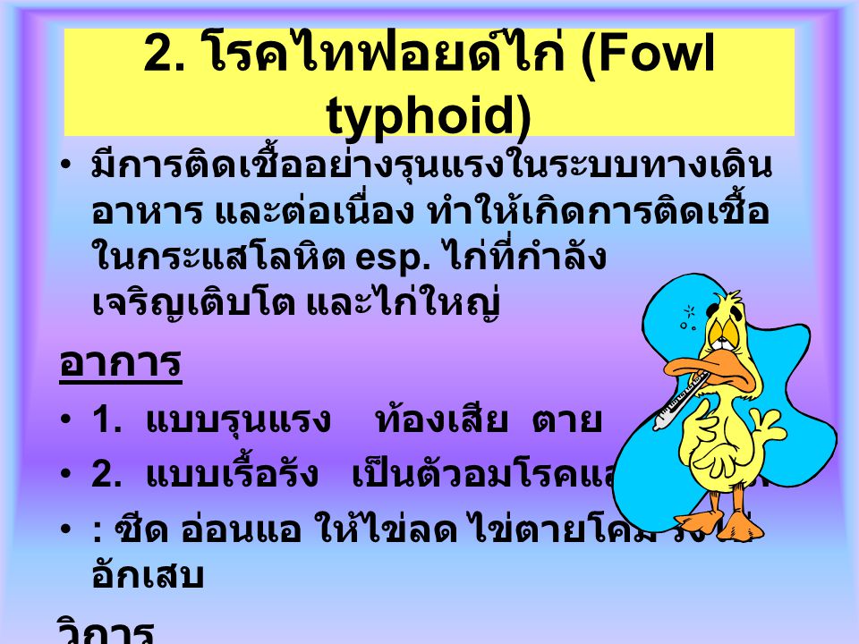 2. โรคไทฟอยด์ไก่ (Fowl typhoid)