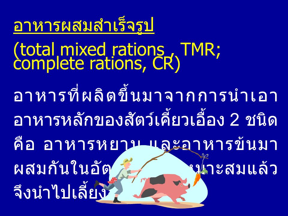 อาหารผสมสำเร็จรูป (total mixed rations , TMR; complete rations, CR)