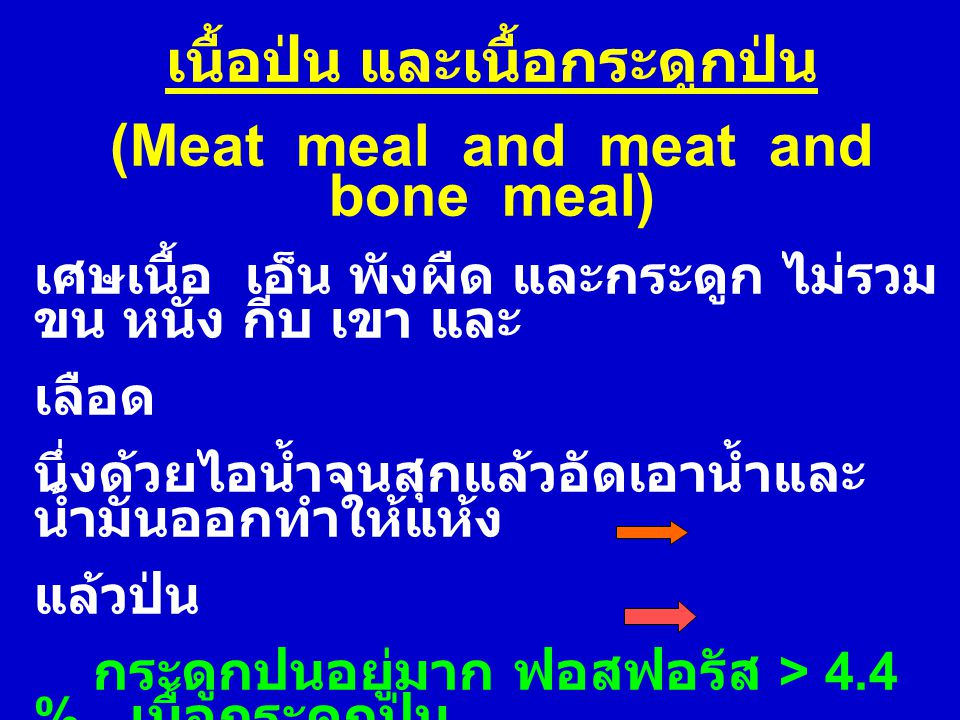 เนื้อป่น และเนื้อกระดูกป่น (Meat meal and meat and bone meal)