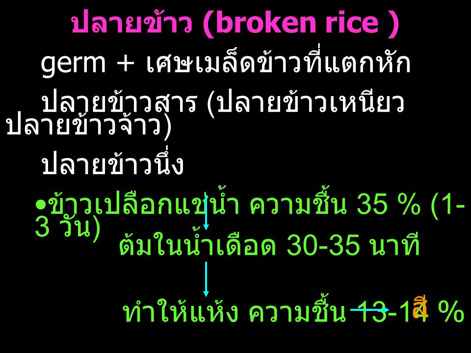 ปลายข้าว (broken rice )