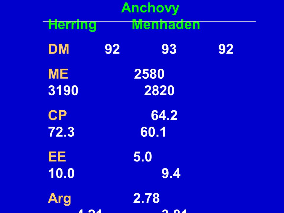 Anchovy Herring Menhaden