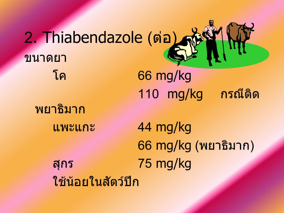 2. Thiabendazole (ต่อ) ขนาดยา โค 66 mg/kg 110 mg/kg กรณีติดพยาธิมาก