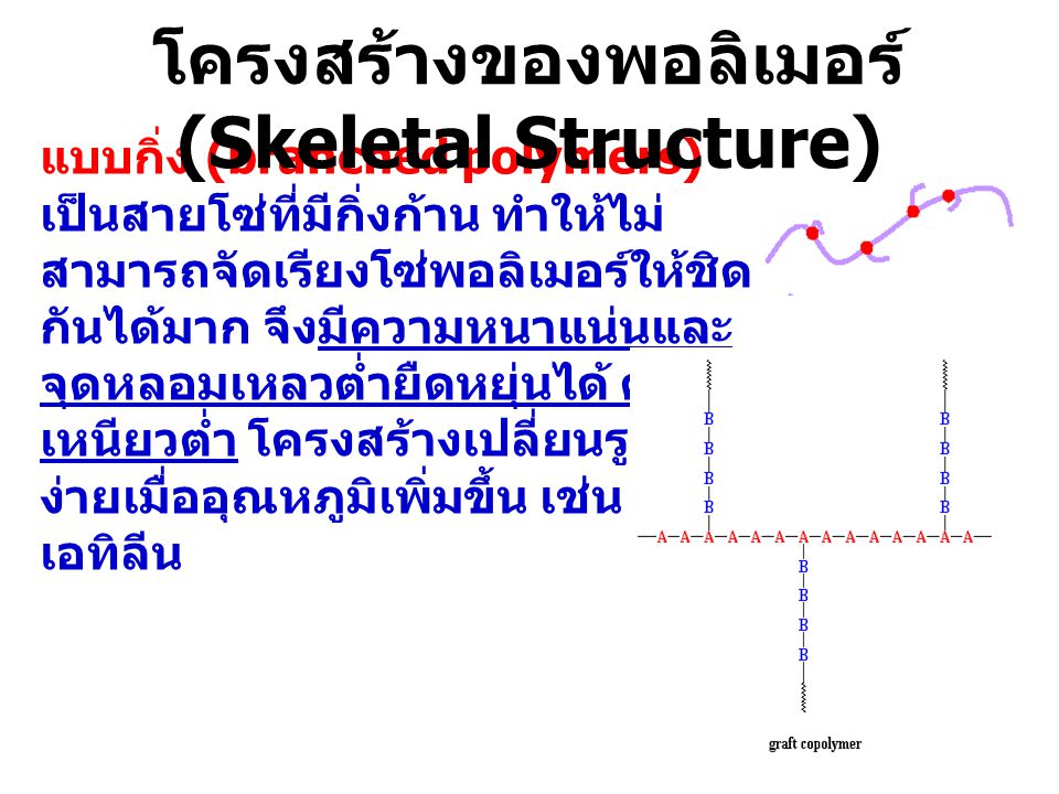 โครงสร้างของพอลิเมอร์ (Skeletal Structure)