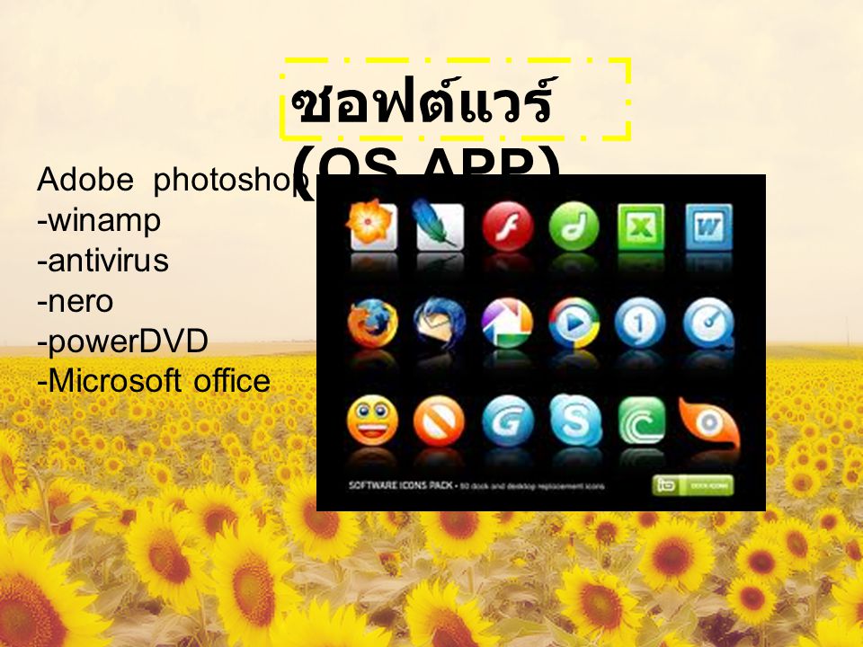 ซอฟต์แวร์ (OS,APP) Adobe photoshop -winamp -antivirus -nero -powerDVD