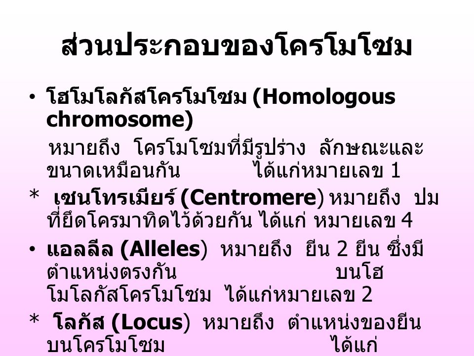 ส่วนประกอบของโครโมโซม