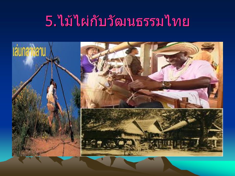 5.ไม้ไผ่กับวัฒนธรรมไทย
