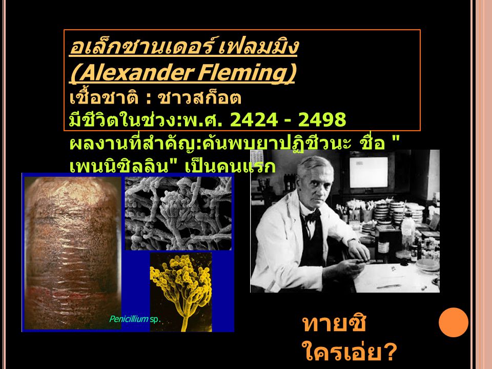 ทายซิ ใครเอ่ย อเล็กซานเดอร์ เฟลมมิง (Alexander Fleming)