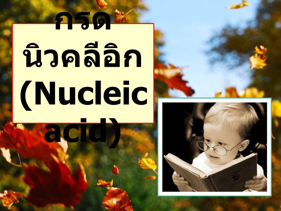 กรดนิวคลีอิก (Nucleic acid)