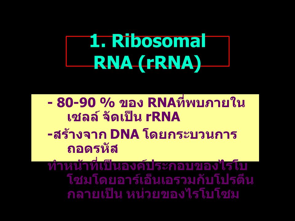 1. Ribosomal RNA (rRNA)